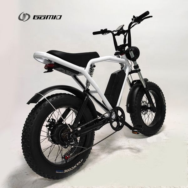 48V 500W City Bike Long Range Retro E-Bike with Powerful Lithium Battery and Disc Brake