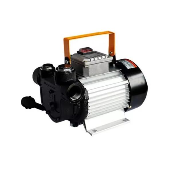 High Flow Compact Size 220 Volt 60L/min Electric Oil Portable Diesel Fuel Transfer Pump