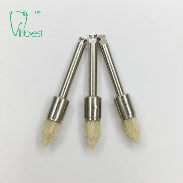 Nylon Bristle Dental Polishing Kit , Pencil Sharp Type Dental Prophy Brush