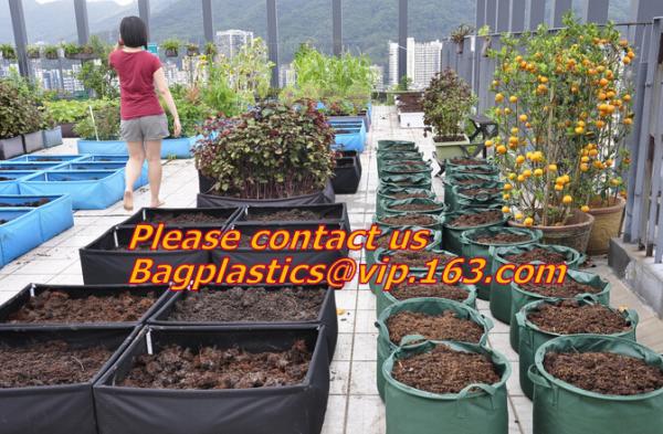 Drip Irrigation Potato Grow Planter Fabric Pots With Handles Grow Bag Planters , Panda Film, Black And White