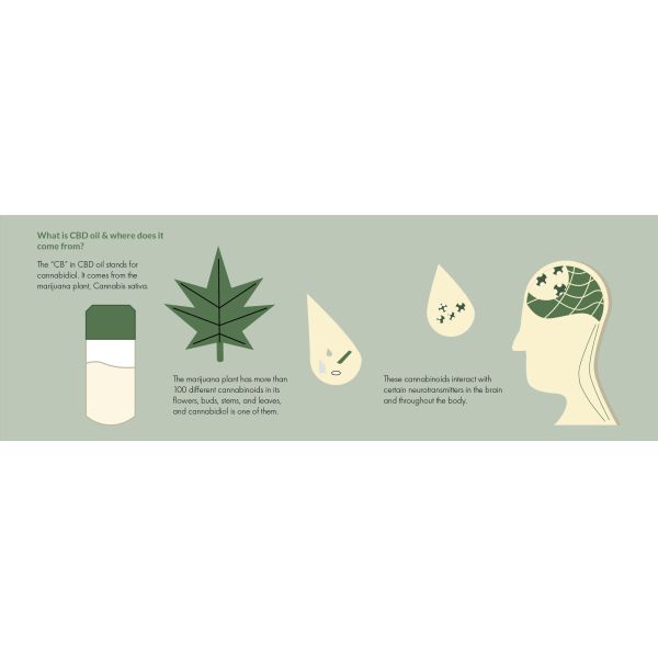 Оборудование извлечения масла CE -40C