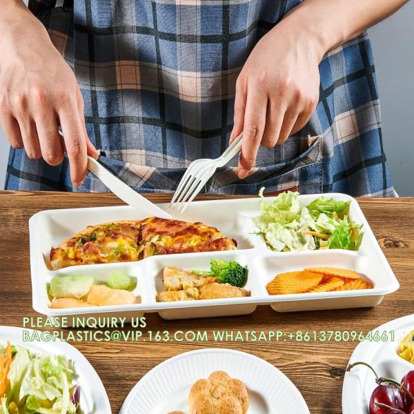 5 Compartment Plates, 125 Pack Disposable Paper Plates, Biodegradable Sugarcane Plates, Eco-Friendly School