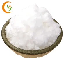 ポリエステル ステープル 繊維 介質 繊維 クラム