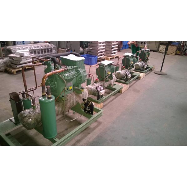 Fresh Meat Fish Storage Cold Room Modular Assembly With  Compressor Split System