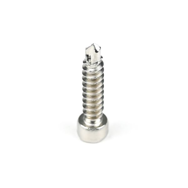 304 Stainless Steel Round Fillister Head Screw M6 Torx Screw with Customized Support
