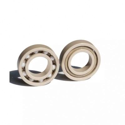 Si3N4 Smooth Spinning Peek Bearing with Bore Size 19.992 20 mm