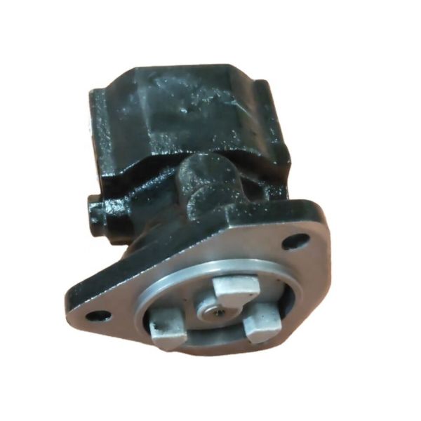 Feed Pump 23532981 for Engine S60