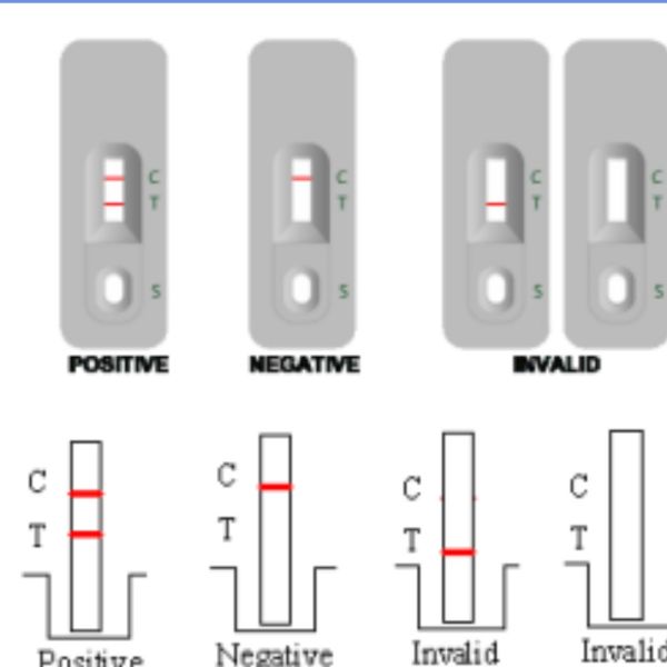 Rapid Test For Detection Of Norovirus Antigen With 20kits Colloidal Gold Method with CE