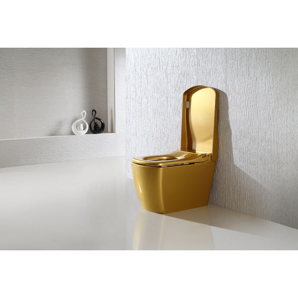 Full Body Golden SmartToilet With Built In Bidet , Intelligent Toilet Seat Floor Mounted