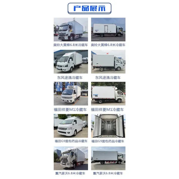 Affordable Used 4X2 Cold Storage Truck From Japan