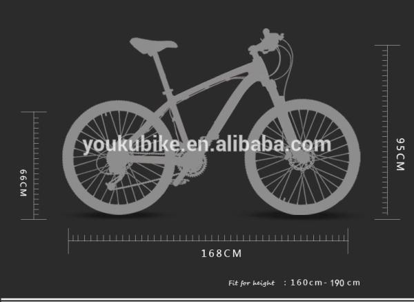 Popular design Complete carbon fiber mountain bicycle made in China for sale/Carbon fibre Mountain bike frame