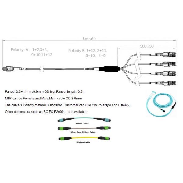 8F MTP OM3 Fiber Optic MTP-LC 2.0mm Straight Harness Cable for High-Density Data Center Applications