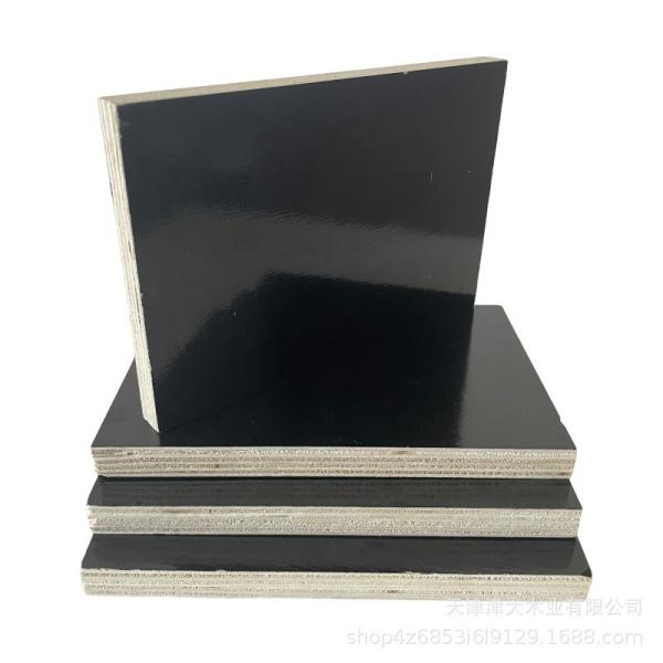 Black Birch Ply 18mm 21mm Birchwood Plywood Template 1250x2550mm