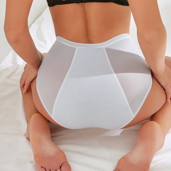 Plus size Underpants Calcinha Feminina Leak-Proof Ladies Briefs Bragas Women's Underwear