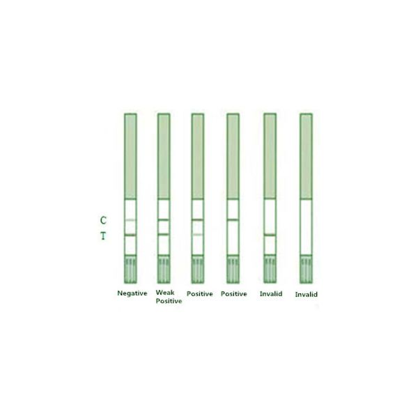Green Spring Tylosin Food Safety Anti Rapid Test Kit Rtk Antibody 96Tests/Kit For Fresh Milk Powder