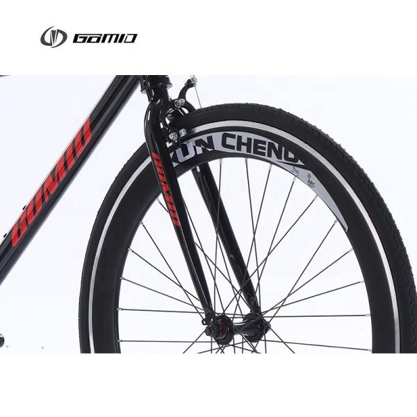 GOMID Custom Single Speed Bicycle with Flip Flop Hub and KENDA TIRE for Fixed Gear Cycling Length 1.6m Weight 16KG