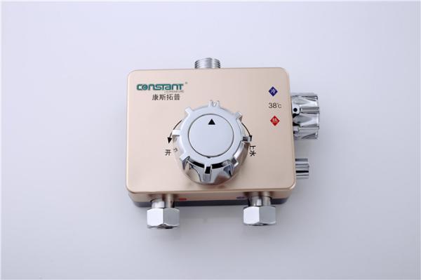 Double Switch Shower Thermostatic Control Valve , 1/2 Inch Thermo Shower Valve