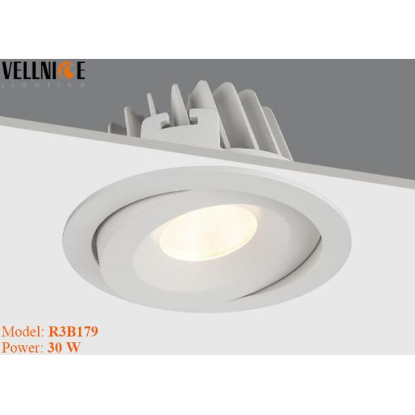 30W Adjust High Lumen LED Down Light Fixture , 30 Degree Tilt Outdoor Led Lighting