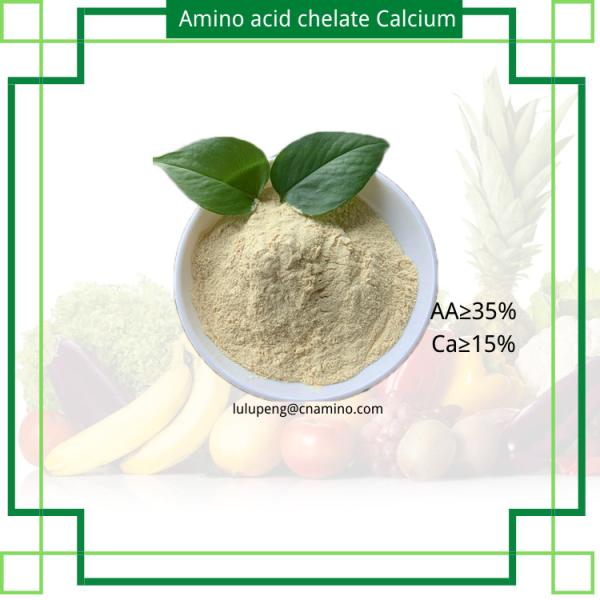Fertilizante Foliar Orgânico Aminoácido Quelatado Cálcio 100% Hidrossolúvel