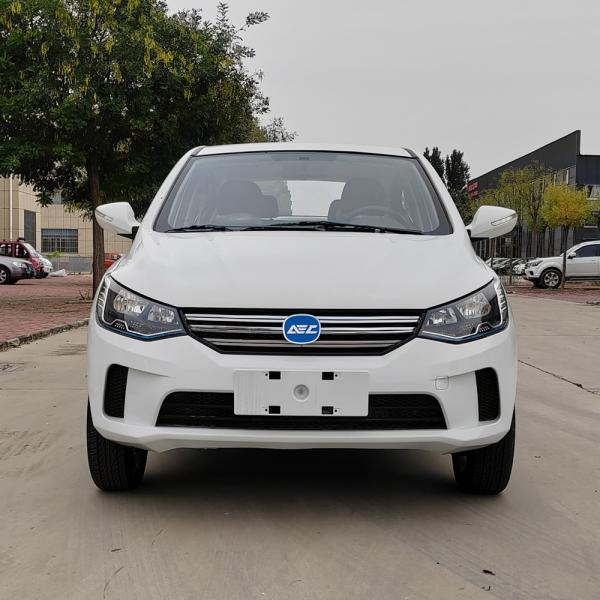 Raysince High quality electric vehicles car wholesales cheap price saloon cars with CE certificate