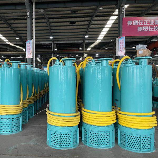 High Capacity Ductile Iron Submersible Drainage Pumps BQS11kw  For Heavy Duty
