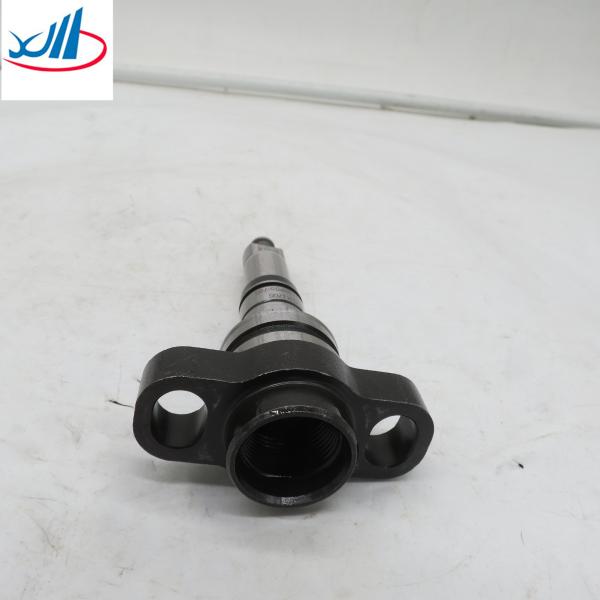 Liuqi Chenglong Parts Diesel Fuel Pump Plunger Element 2418455333 2 418 455 333 2455-333