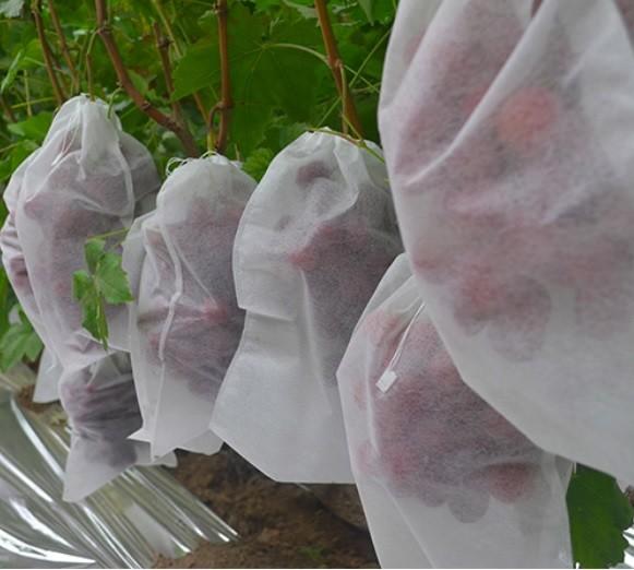Rasgue a tela não tecida resistente dos PP Spunbond/a tela do controle de ervas daninhas jardim vegetal