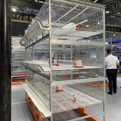 Laboratory 24 Doors 264 Birds Poultry Chicken Cage