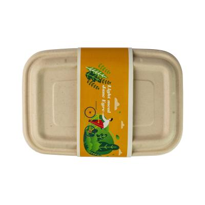 Recipiente biodegradável descartável retangular do recipiente de alimento da polpa de Surgance