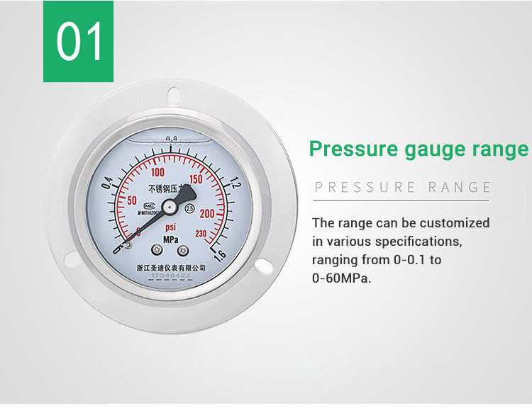 60mm Back Connection Pressure Gauge with Flange 250bar 304ss Liquid-Filled Manometer