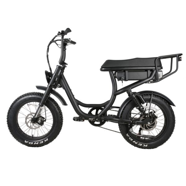 2 Seat Vintage Bike Electric Fat Tire Bike with 20*4