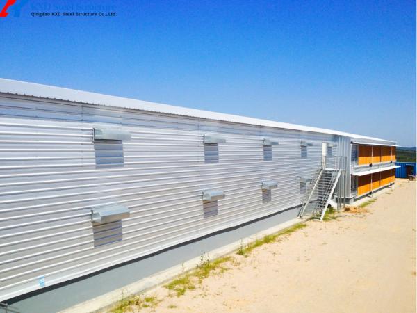 Prefabricated Steel Poultry Shed with Automatic Feeding and Drinking Systems
