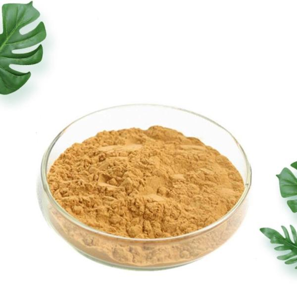 China 99% Stone pine spore Lycoris powder Radiata Extract Galanthamine Hydrobromide cheap
