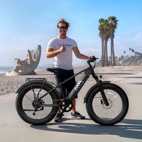 TST Defender 26 Inch Road Bike Fatbike Mountain Electric Bike Electric Cycles for Men 1200W Rear Hub Motor Electric Hybrid Bike