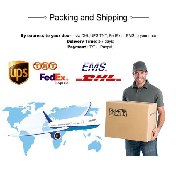 RTMP RTSP Streaming Server 4G Wifi Encoder для быстрой и стабильной прямой трансляции