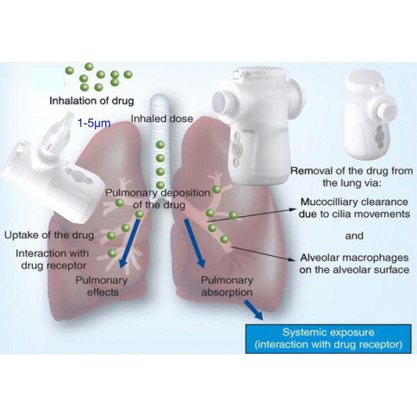 Машина Budesonide Nebulizer ингалятора астмы младенца медицинская для пользы больницы