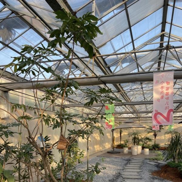 Glass Greenhouse Hydroponic Vegetable Setup Shipping Cost and Estimated Delivery Time