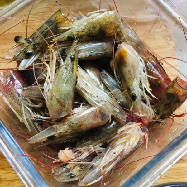 Máquina de processamento de camarão para descascar e classificar