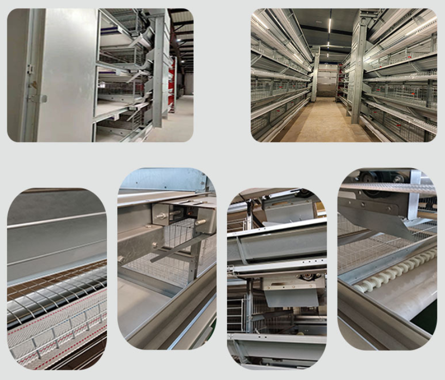 Hot-dip Galvanized Small Tier Layer Cages Easy Manure Removal  Customized service