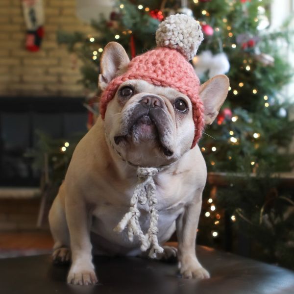 Y-Z Dog Clothing Accessories Handmade Dog Beanie with Pom Pom Crochet Knit Dog Hat Gift