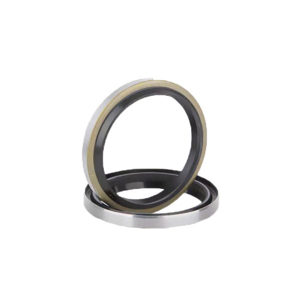 DKB Industrial Skeleton Oil Seal Ring FKM Oil Seals Wear Resistant