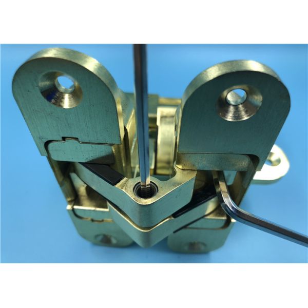 Satin Brass Concealed Gate Hinges / Industrial 180 Degree Door Hinge