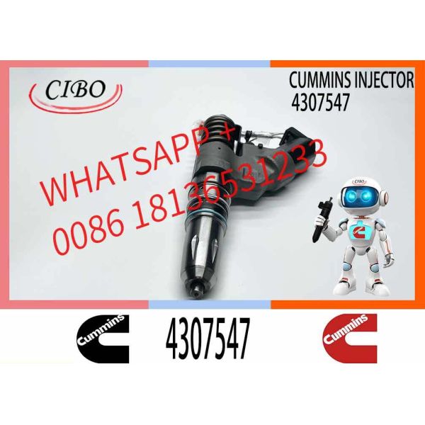 N14 QSM11 M11 Injector Repair Kit Set 4903322 3074219 3083863 4903319 4061851 3080429 3411767 4902921 9547931 3803682 4307547