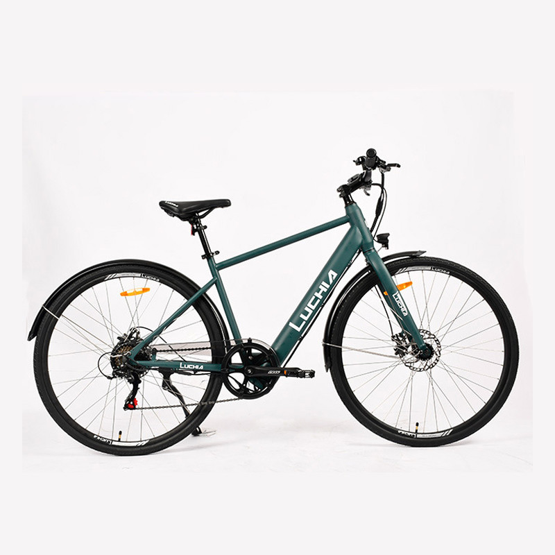 350w Electric Folding Bicycle 14inch 48v Electric City Bike with Rear Wheel Disc Brake