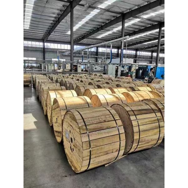 LSZH Anti Rodent Photoelectric Composite Cable SM 24C G652D PE Outdoor ADSS Optical Cable