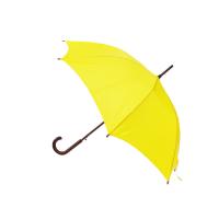 Os homens seguram em linha reta guarda-chuvas Windproof do golfe para a propaganda exterior