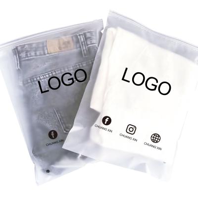 CTCX Ziplock Bags Clothing Packaging Clear Plastic Zipper Bags Packaging With Logo Sacs En Plastique Custom Zip Lock Bags