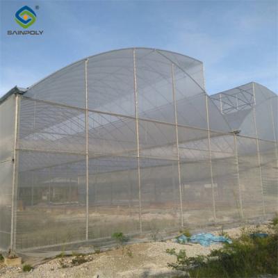 Practical Po Film Gothic Greenhouse Multispan Agriculture Greenhouse