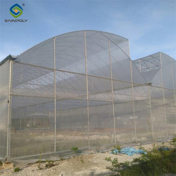 Practical Po Film Gothic Greenhouse Multispan Agriculture Greenhouse