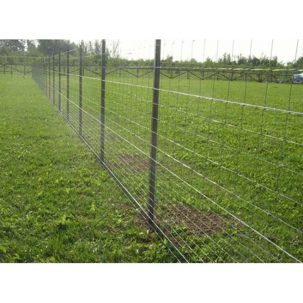 Ферма черного битума стальная ограждая ограждать металла аграрный